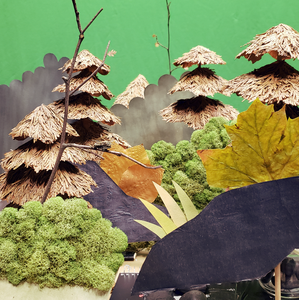 A decorated version of the forest scenery stop-motion set prior to shooting, ther is a green screen in the background. There are five trees, two sticks, two rocks, and six bushes/leaves. 