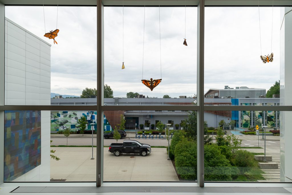 Semi-transparent orange butterflies are suspended from the ceiling in front of a window overlooking ECU campus. 