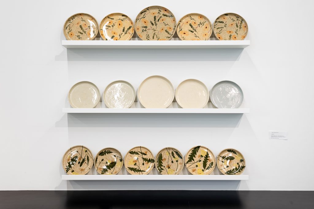 Three shelves each containing a row of plates on display. The top row has five brown speckled plates with painted flowers and herbs; the middle row has five shiny cream plates with faint engravings; the bottom row has six speckled brown plates with painted weeds. 
