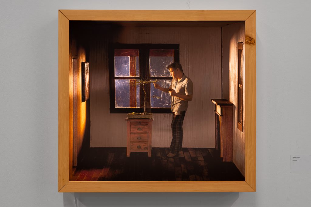 Wood-framed photograph of a person trimming a bonsai tree in a small, darkly-lit room with wooden furnishings, lit from a window behind. 