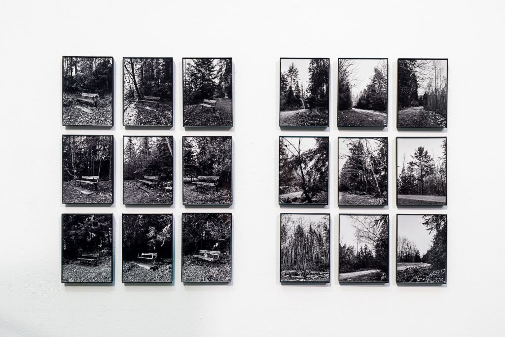 Two series of nine black-and-white photographs, each arranged in a grid. The first series is of different park benches in forests photographed from the same angle. The second series is of rocky creek beds lined with trees. 