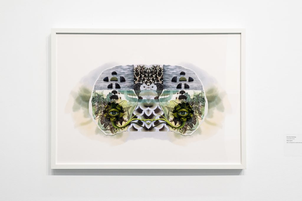 Framed collage of a a mask-like shape covered in symmetrical patterns of scales, water, and plants. A set of eyes set in the middle of succulent plants are connected by green grass-like strands. 