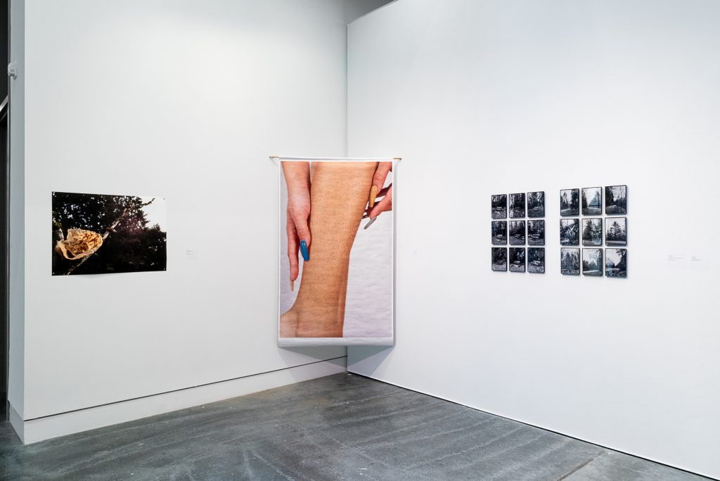 In a corner of two walls hangs a print of a leg calf with hair, being stroked with hands that have long painted fingernails. On the left wall is a close-up photograph of a tree branch with a bunch of brown fibrous material nestled into its crook. On the right wall is two series of nine black-and-white photographs, each arranged in a grid; one series shows park benches in a forest; the other shows a creek bed amid trees. 